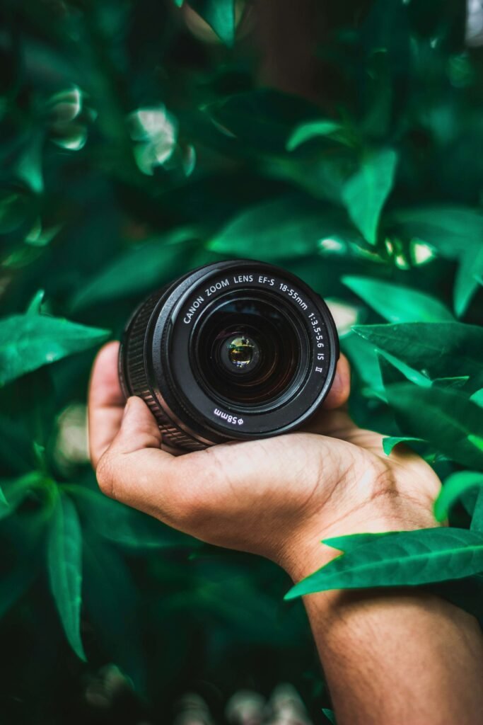 Canon Lens Background Leaves